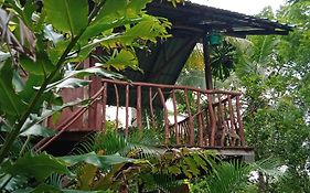 Sigiri Panaromic Tree House