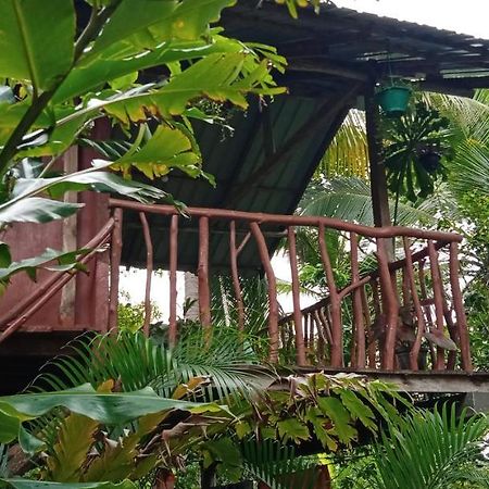 Вилла Sigiri Panaromic Tree House Сигирия Экстерьер фото