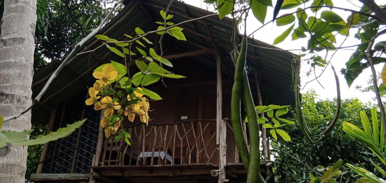 Вилла Sigiri Panaromic Tree House Сигирия Экстерьер фото