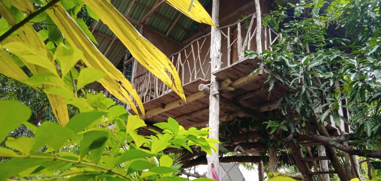 Вилла Sigiri Panaromic Tree House Сигирия Экстерьер фото