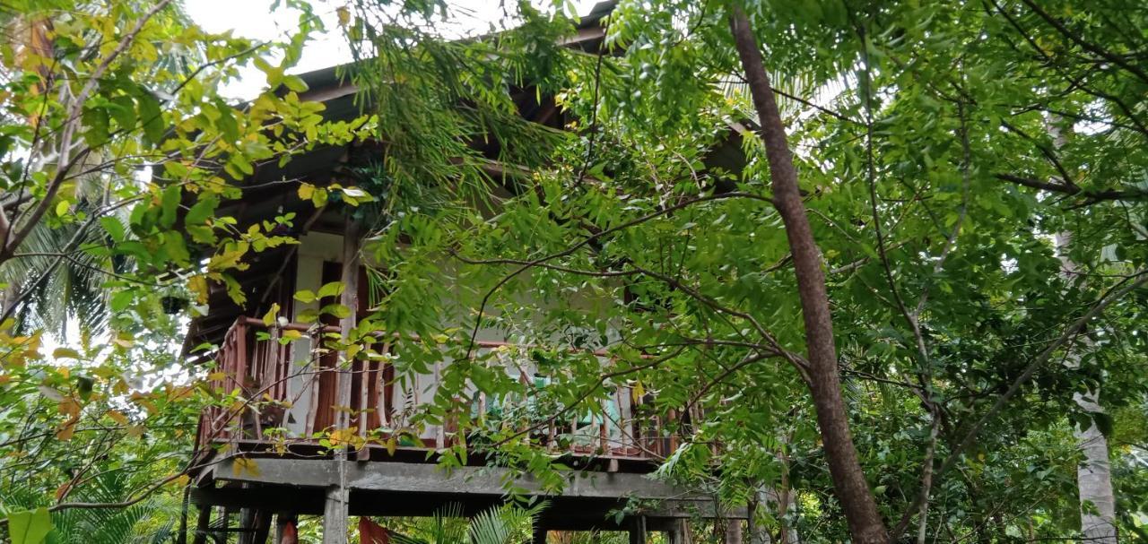 Вилла Sigiri Panaromic Tree House Сигирия Экстерьер фото